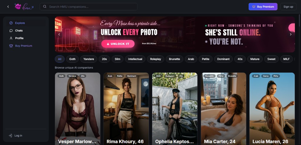 HMU AI Tool Interface Demo 1